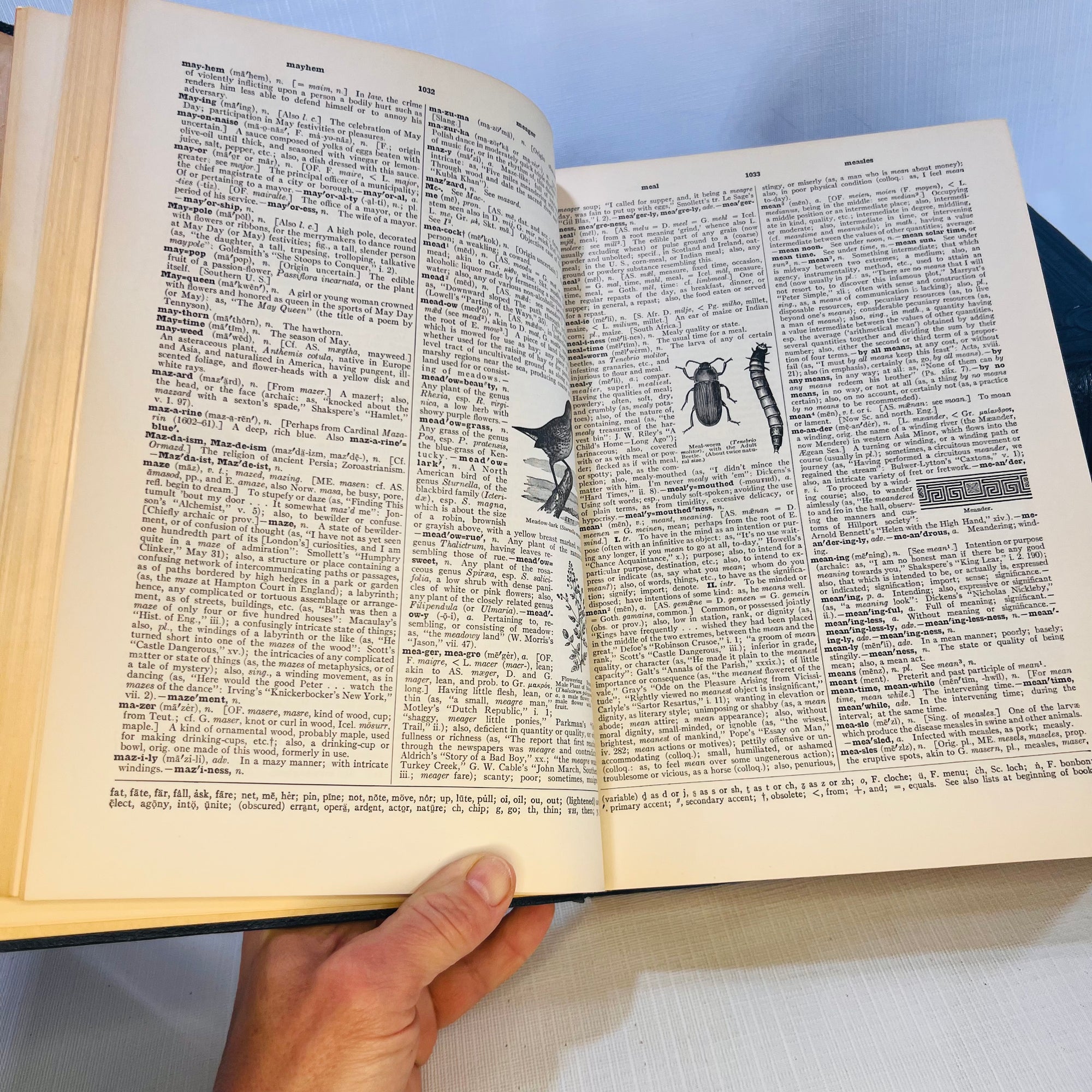 The New Century Dictionary of the English Language edited by H.G. Emery 1931 P.F. Collier & Son Corporation