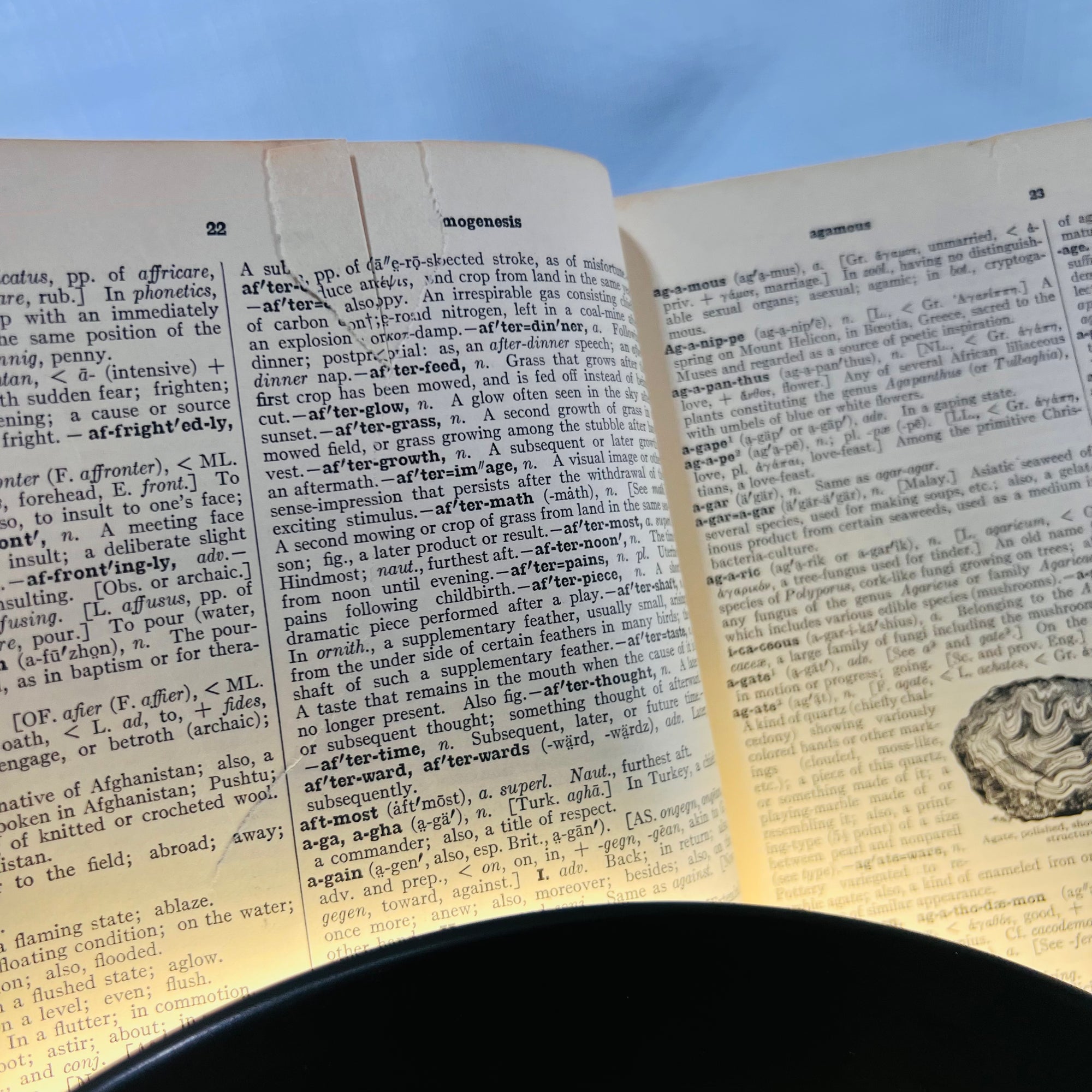 The New Century Dictionary of the English Language edited by H.G. Emery 1931 P.F. Collier & Son Corporation