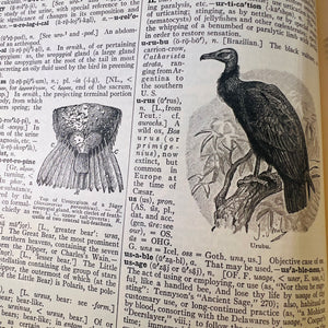 The New Century Dictionary of the English Language edited by H.G. Emery 1931 P.F. Collier & Son Corporation