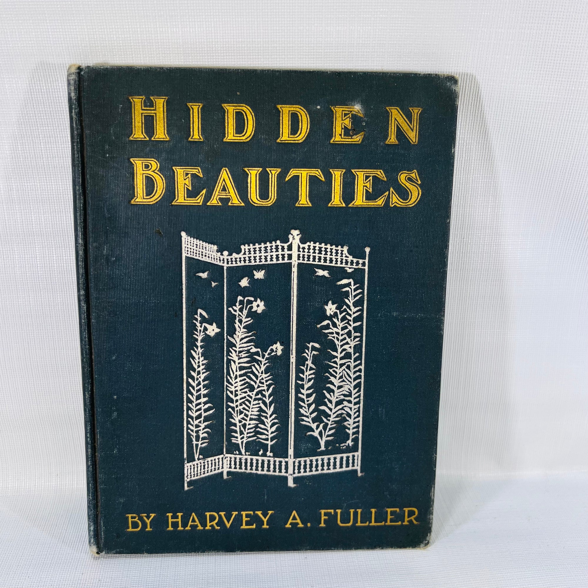 Hidden Beauties by Harvey A. Fuller 1905 Published by the Author Hillsdale Michigan Poetry Book