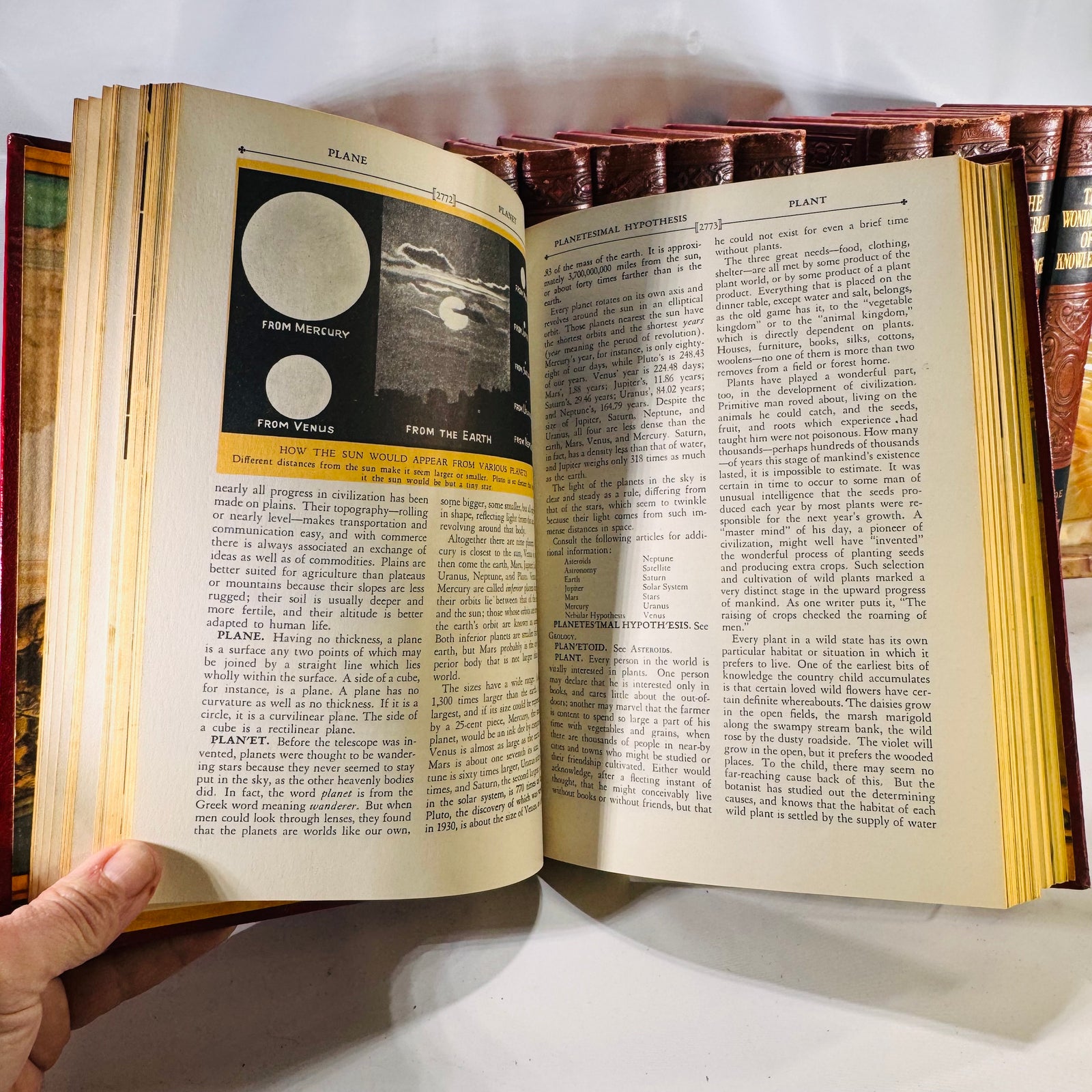 The Wonderland of Knowledge Pictorial Encyclopedia Set 1956 14 Volumes Wonderland of Knowledge Corp.