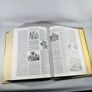 Vintage Heirloom Family Bible 1971 King James Red Letter Illustrated Gold Hardcover