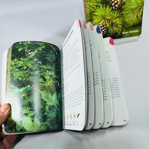 Trees of Michigan & Wildflowers of Michigan Field Guide Bundle by Stan Tekiela