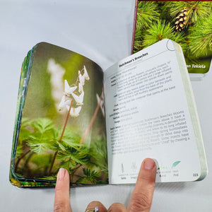 Trees of Michigan & Wildflowers of Michigan Field Guide Bundle by Stan Tekiela