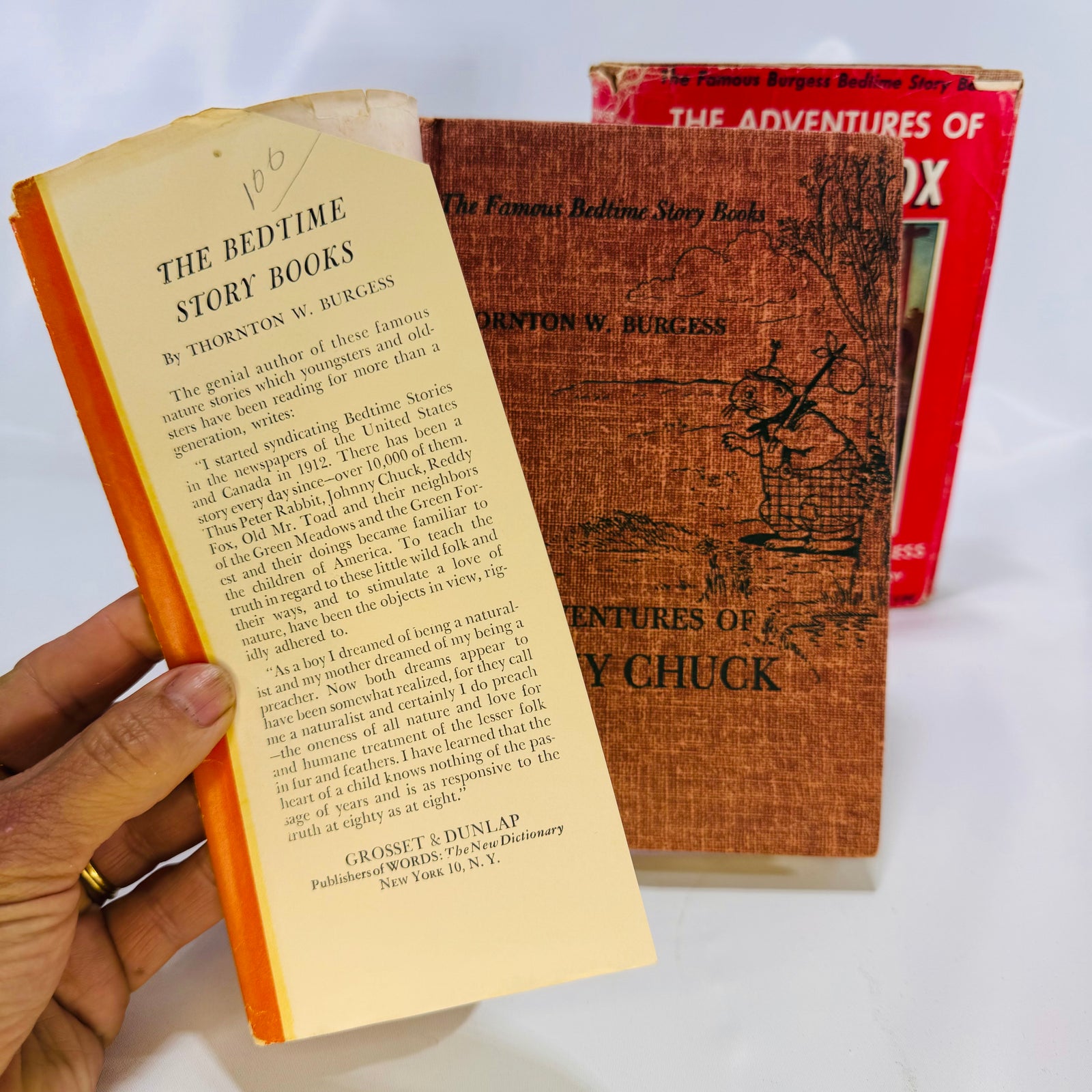 Jacket flap with a pencil marking beside the cloth cover of Johnny Chuck