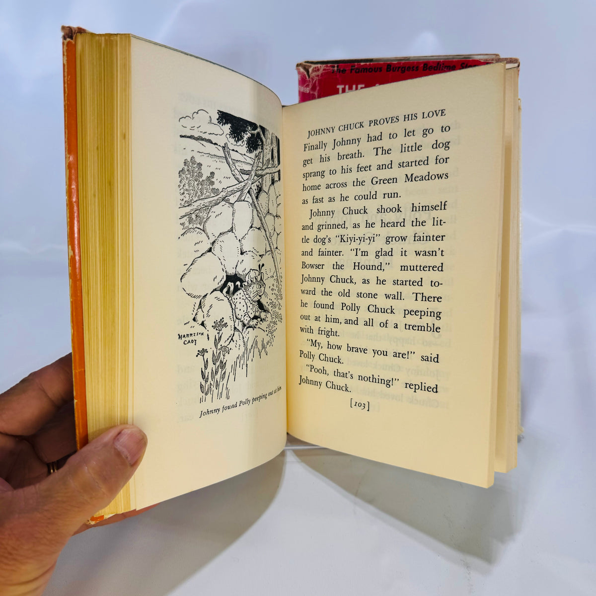 Full page Harrison Cady drawing in The Adventures of Johnny Chuck
