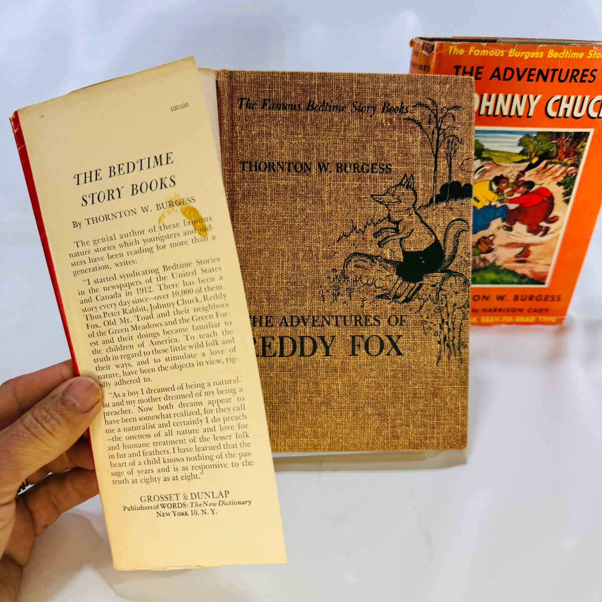 Jacket flap beside the printed cloth cover of The Adventures of Reddy Fox