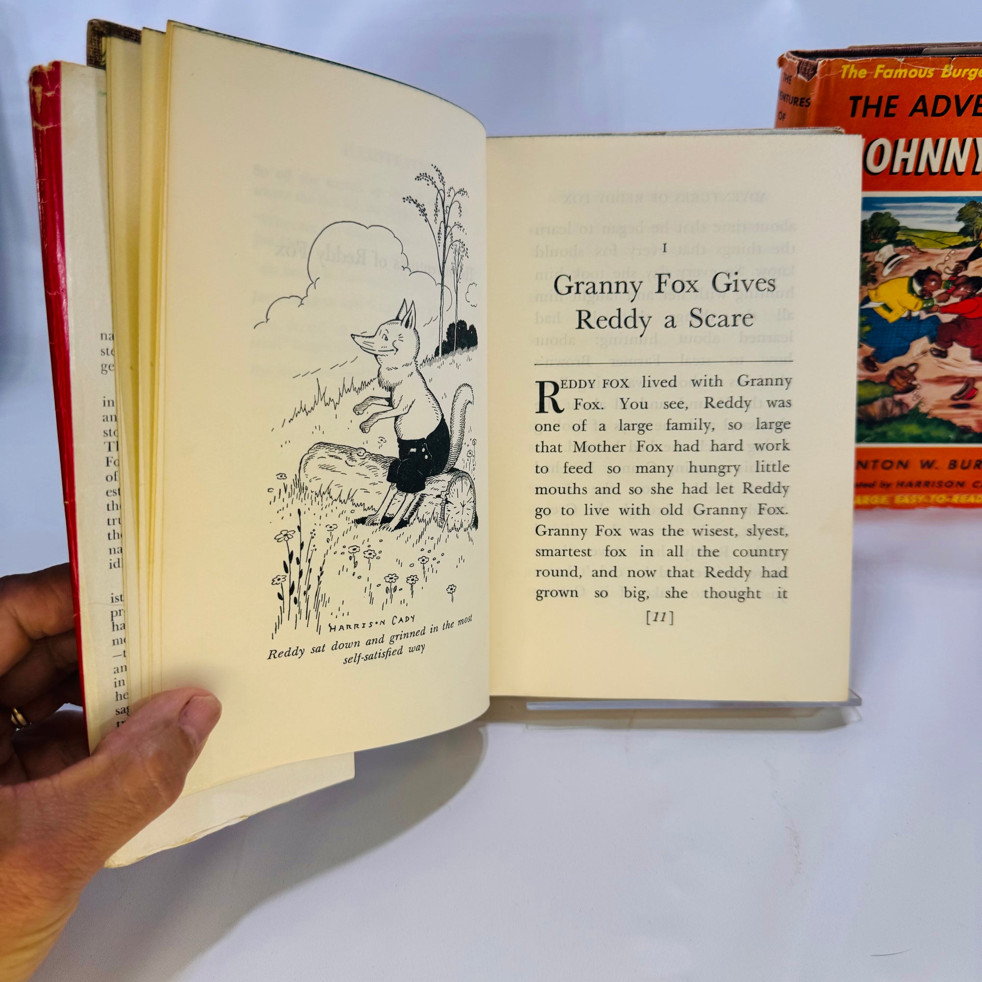 Two Burgess Bedtime Story Books The Adventures of Johnny Chuck 1941 The Adventures of Reddy Fox 1941 by Thorton Burgess illustrated by Harrison Cady Grosset Dunlap