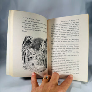 The Chronicles of Narnia 7-Book Box Set (1986–1995) — C. S. Lewis | Pauline Baynes Illustrations, Fantasy Classic