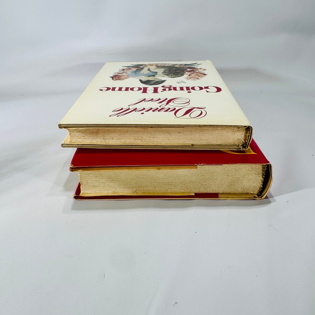 Danielle Steel Hardcover Book Bundle — Going Home (1973) & Family Album (1985) — Romance & Family Saga Fiction | Dust Jackets Included