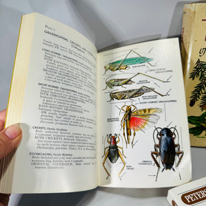 Nature Field Guide Bundle — Birds’ Nests, Insects & Trees of North America — Illustrated Identification Guides (1968–1975) | Natural History