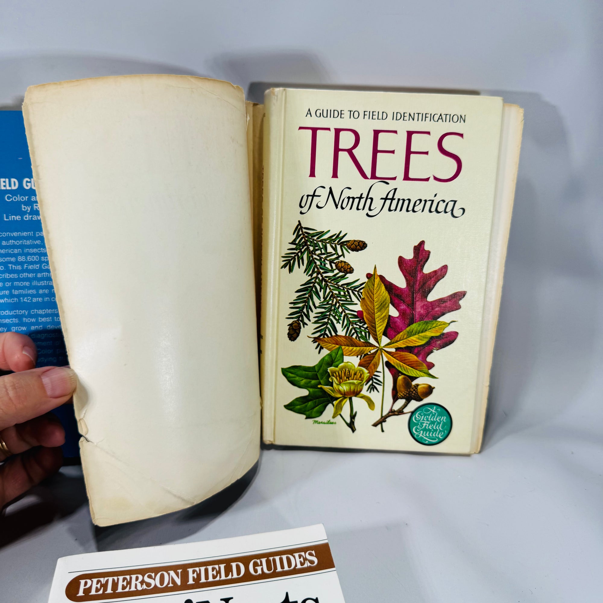 Nature Field Guide Bundle — Birds’ Nests, Insects & Trees of North America — Illustrated Identification Guides (1968–1975) | Natural History