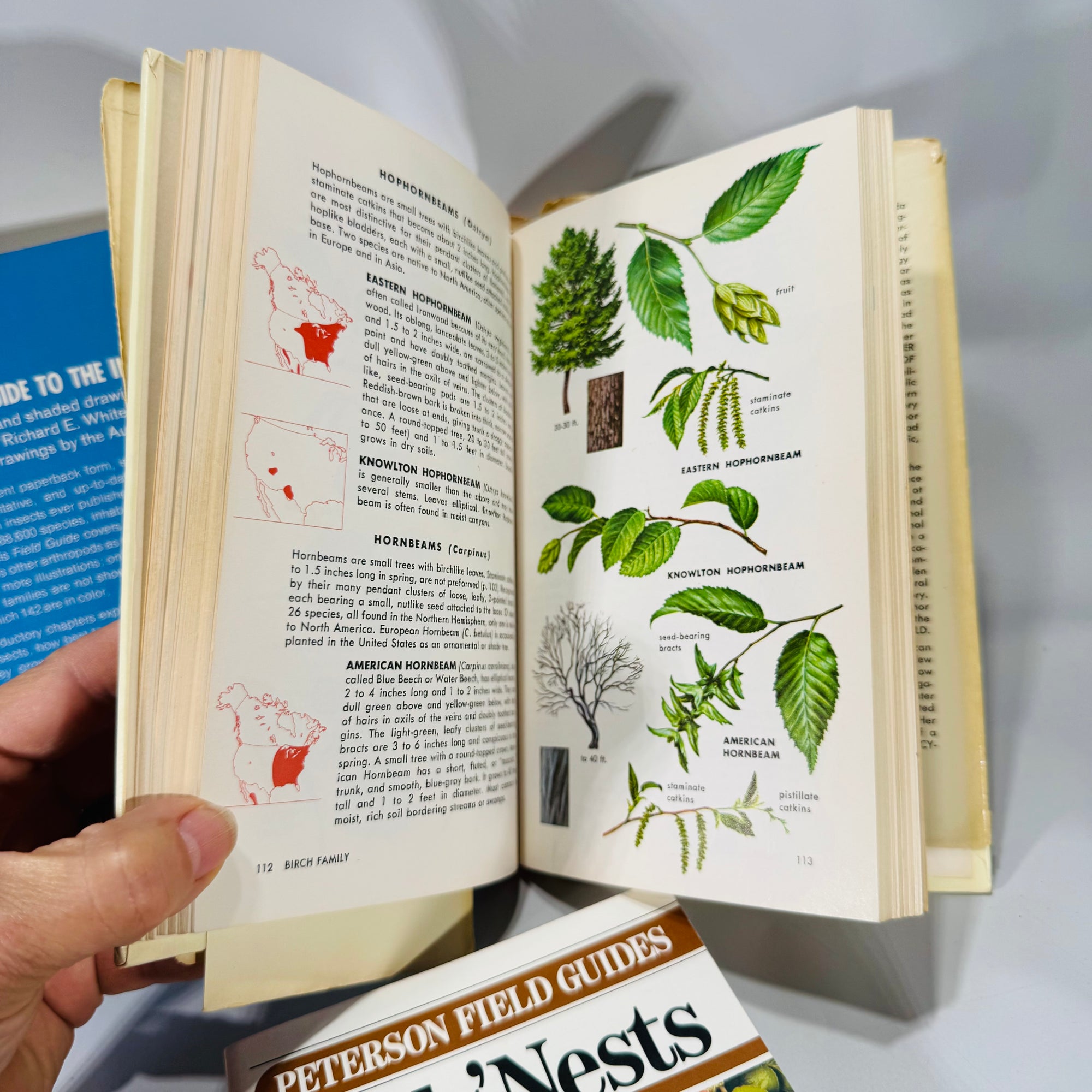 Nature Field Guide Bundle — Birds’ Nests, Insects & Trees of North America — Illustrated Identification Guides (1968–1975) | Natural History