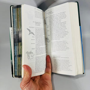 National Audubon Society Field Guide to North American Birds Eastern Region | Revised Edition | 1994