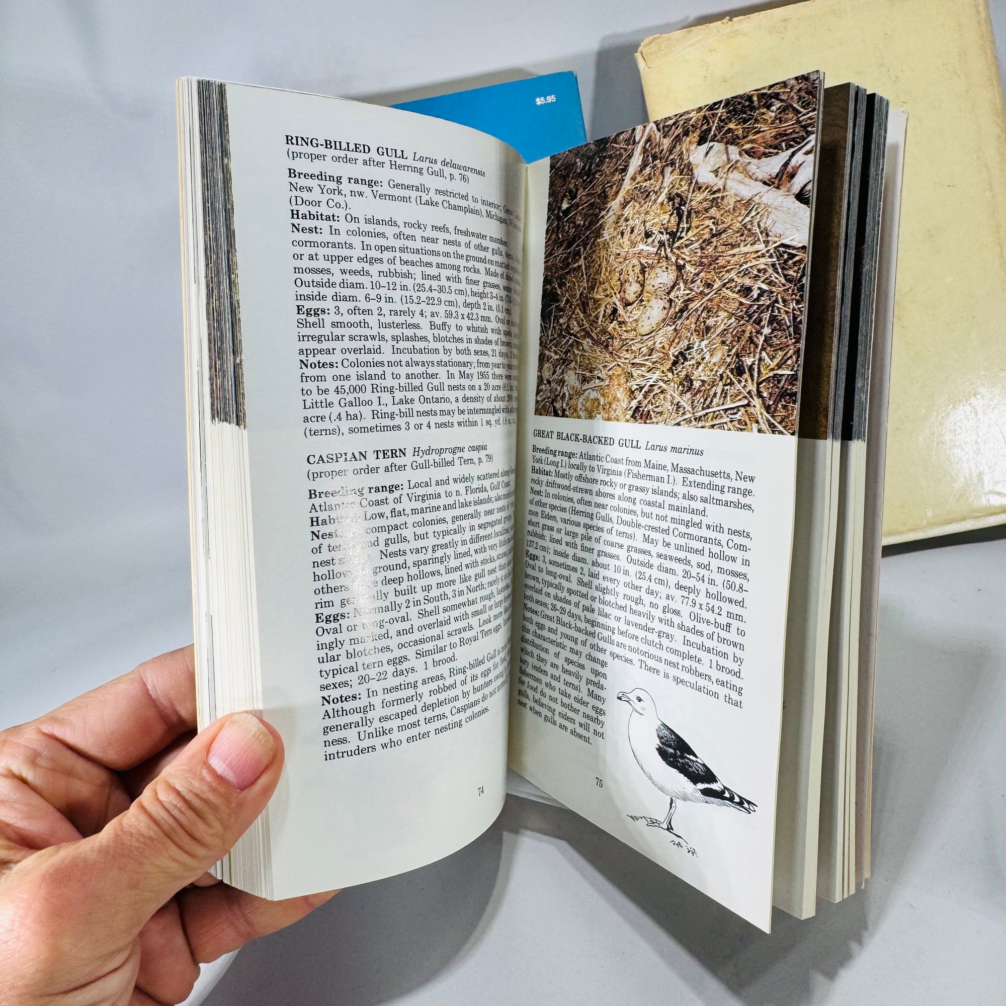 Nature Field Guide Bundle — Birds’ Nests, Insects & Trees of North America — Illustrated Identification Guides (1968–1975) | Natural History