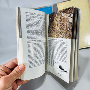 Nature Field Guide Bundle — Birds’ Nests, Insects & Trees of North America — Illustrated Identification Guides (1968–1975) | Natural History