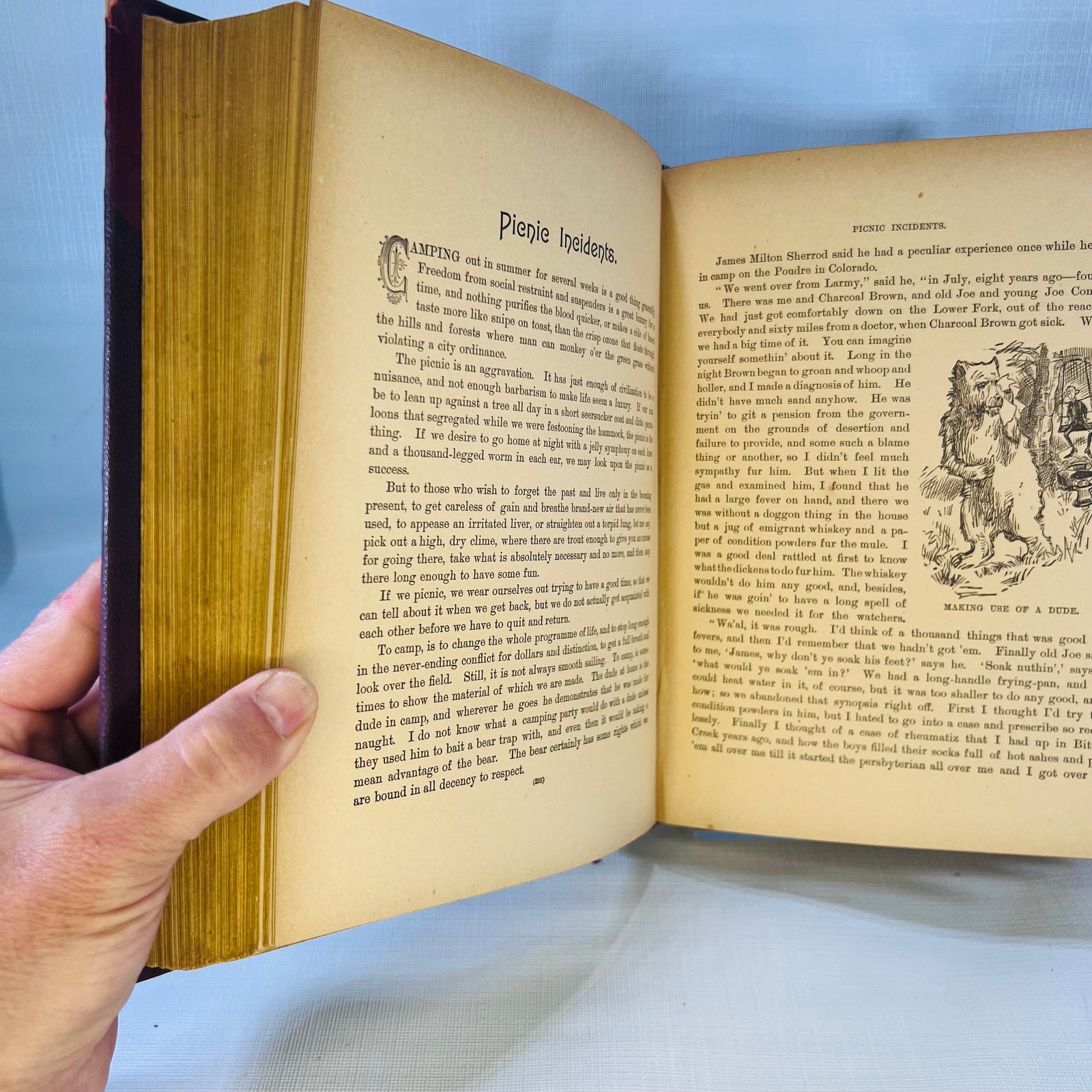 Remarks by Bill Nye (Edgar W. Nye) over 150 Illustrations by J.H. Smith  F.T. Neely