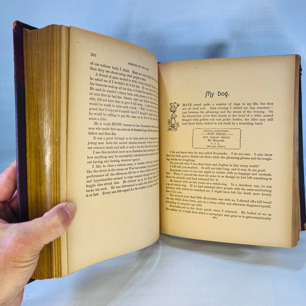 Remarks by Bill Nye (Edgar W. Nye) over 150 Illustrations by J.H. Smith  F.T. Neely