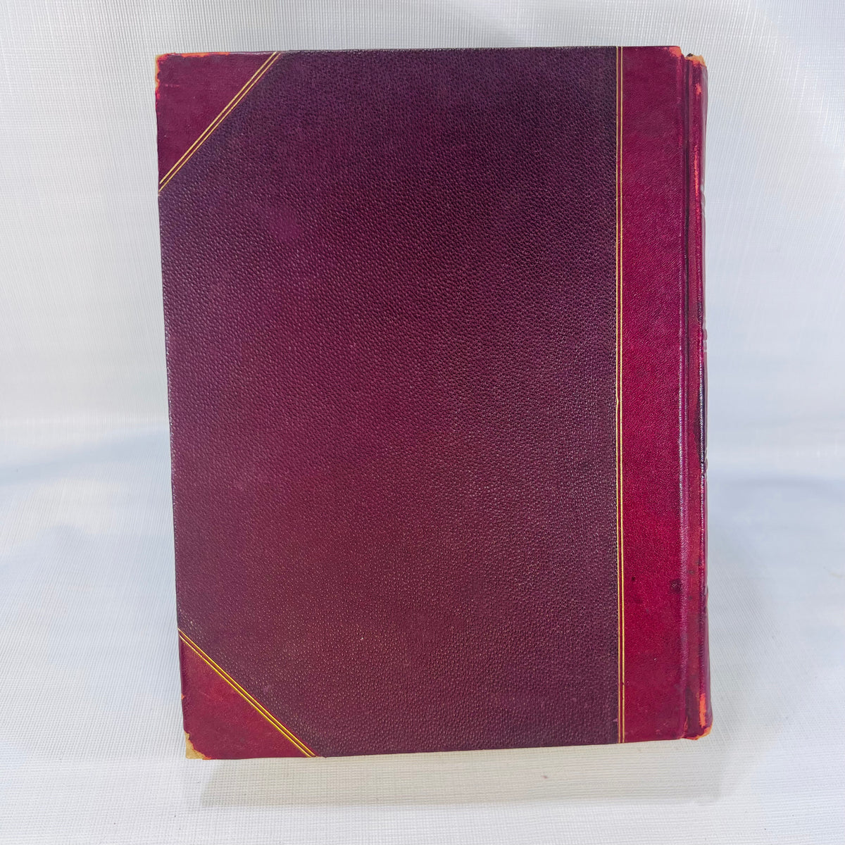 Remarks by Bill Nye (Edgar W. Nye) over 150 Illustrations by J.H. Smith  F.T. Neely