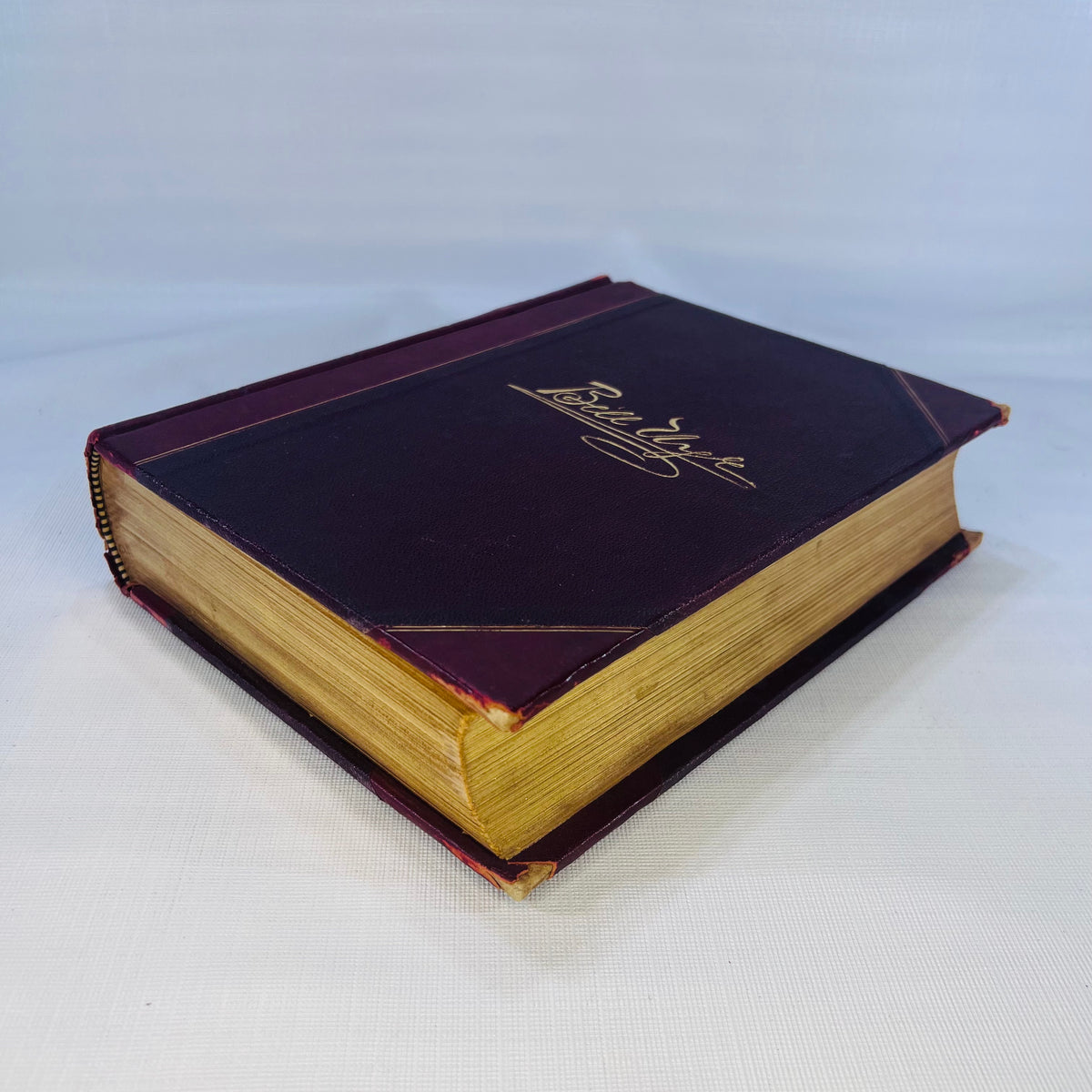Remarks by Bill Nye (Edgar W. Nye) over 150 Illustrations by J.H. Smith  F.T. Neely