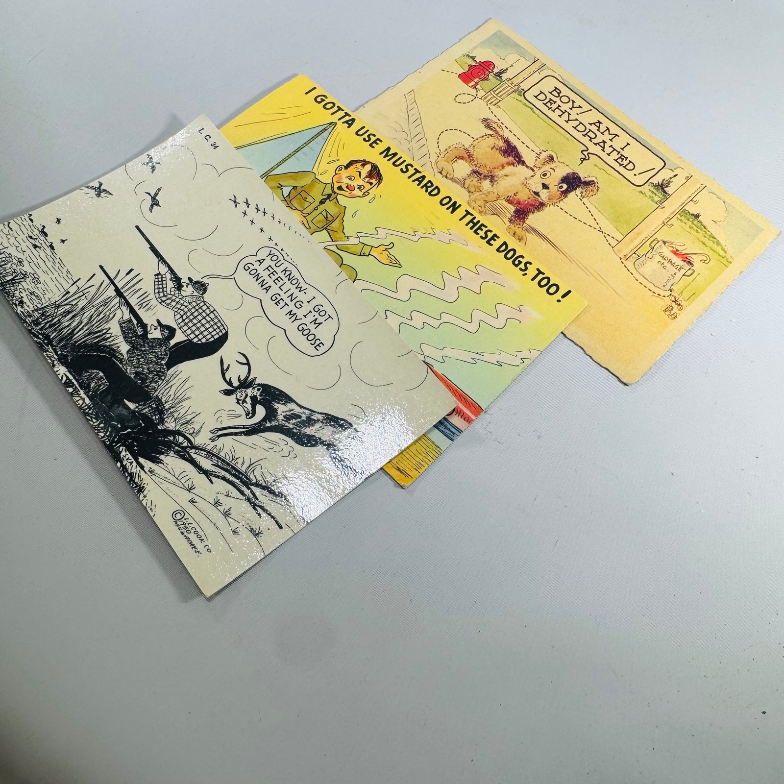 Vintage Comic Humor Postcard Lot Set of 3 — 1940s–1953 WWII Military, Hunting, Dog Humor, Mailed with Handwriting, Dexter Press Tichnor L.L. Cook