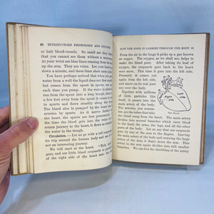 Introduction to Physiology and Hygiene Indiana Edition for use in Primary Grades by H.G. Conn 1906 published by Silver Burdett and Co