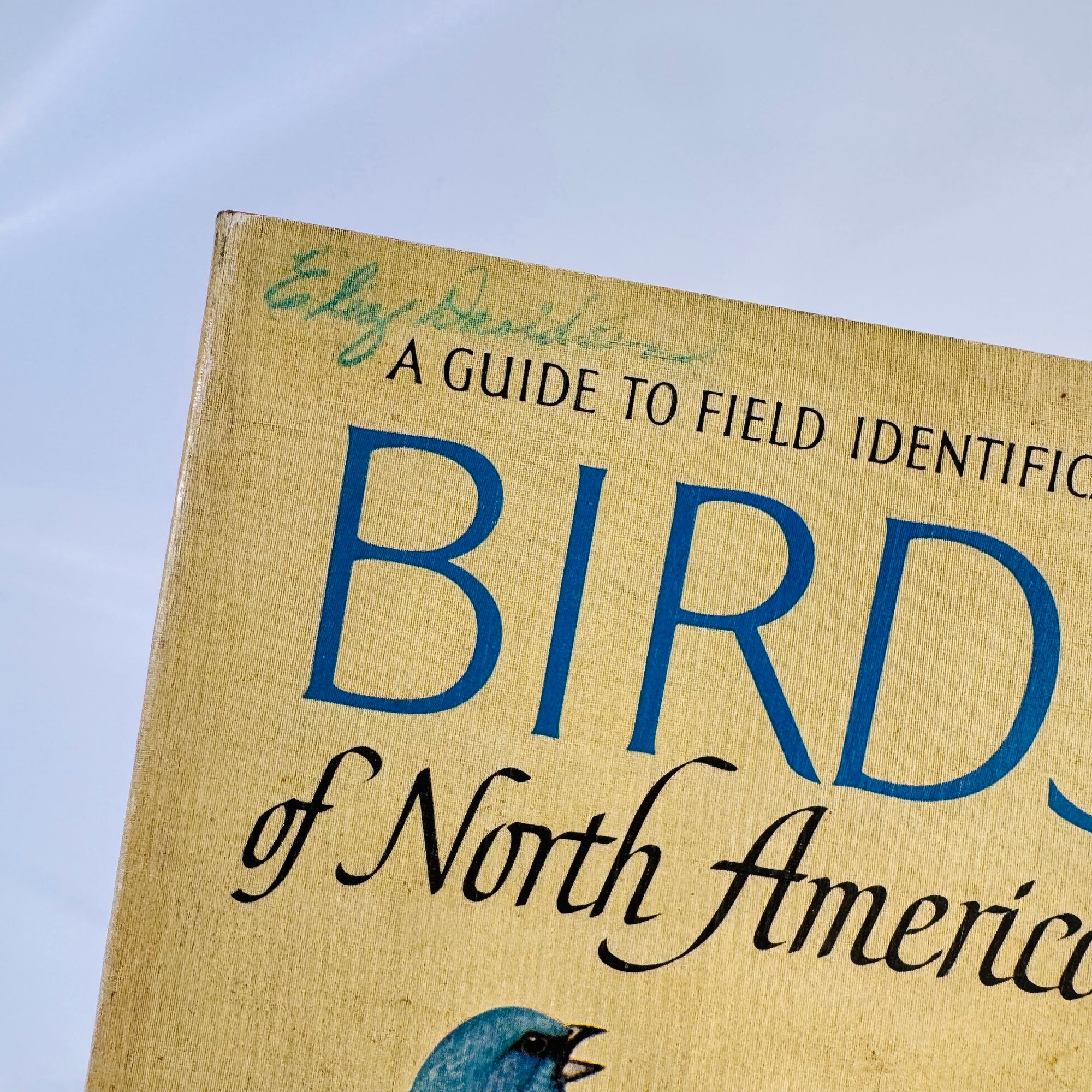 A Field Guide to Identification Birds of North America by Chandler Robbins 1966 Vintage Book