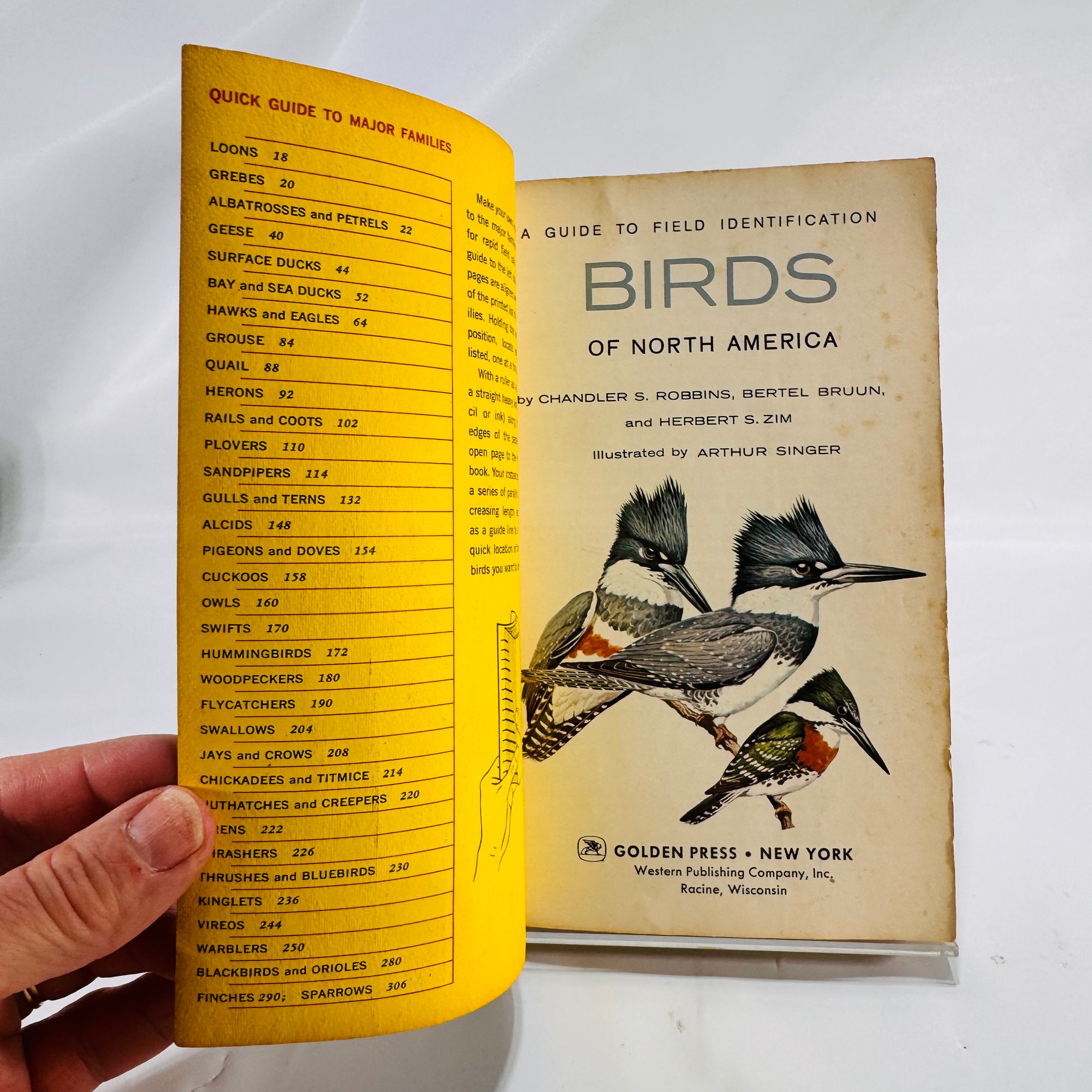 A Field Guide to Identification Birds of North America by Chandler Robbins 1966 Vintage Book