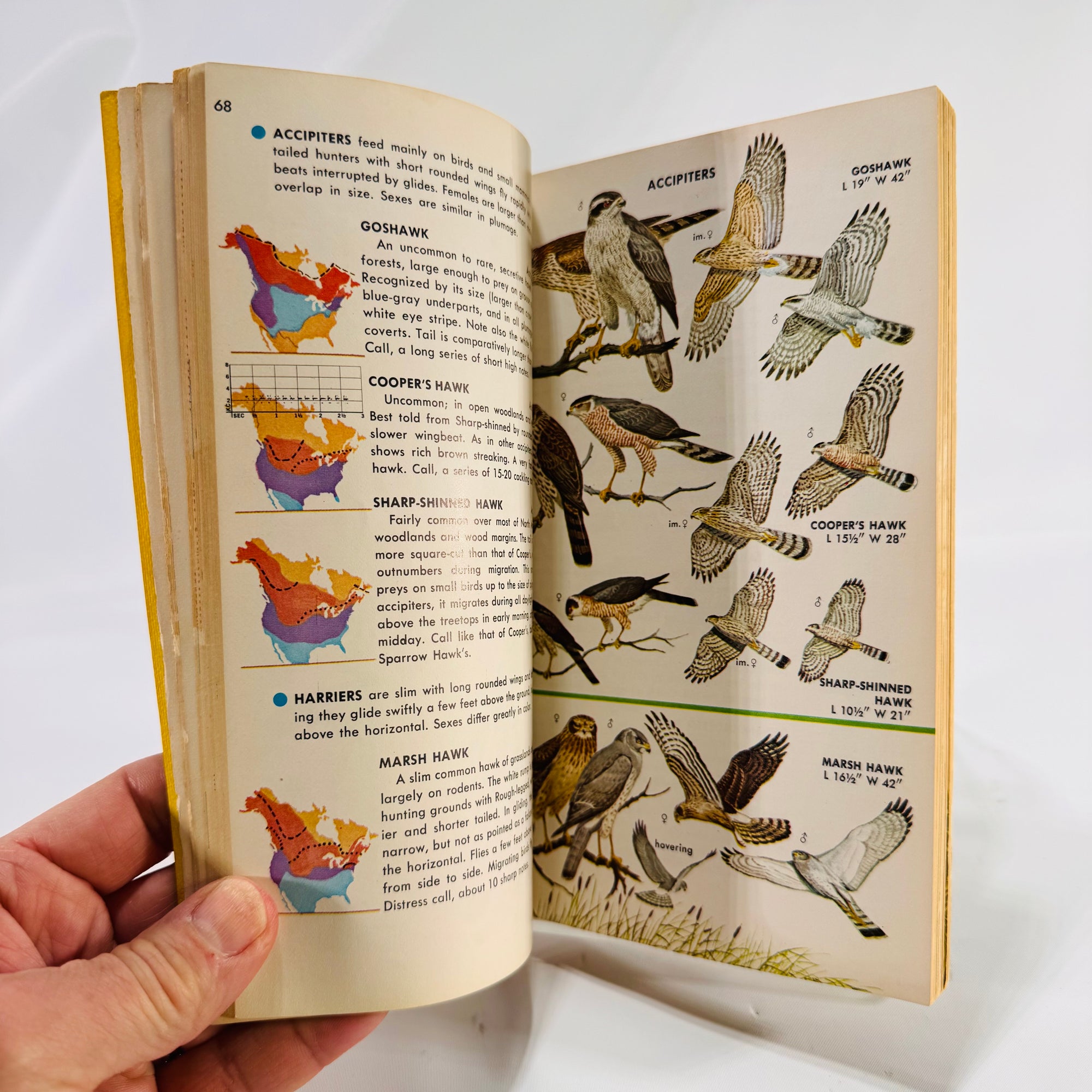 A Field Guide to Identification Birds of North America by Chandler Robbins 1966 Vintage Book
