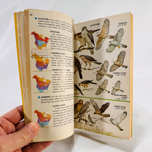 A Field Guide to Identification Birds of North America by Chandler Robbins 1966 Vintage Book