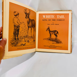 White Tail King of the Forest by Nell Stolp Smock 1938 Platt & Monk Co