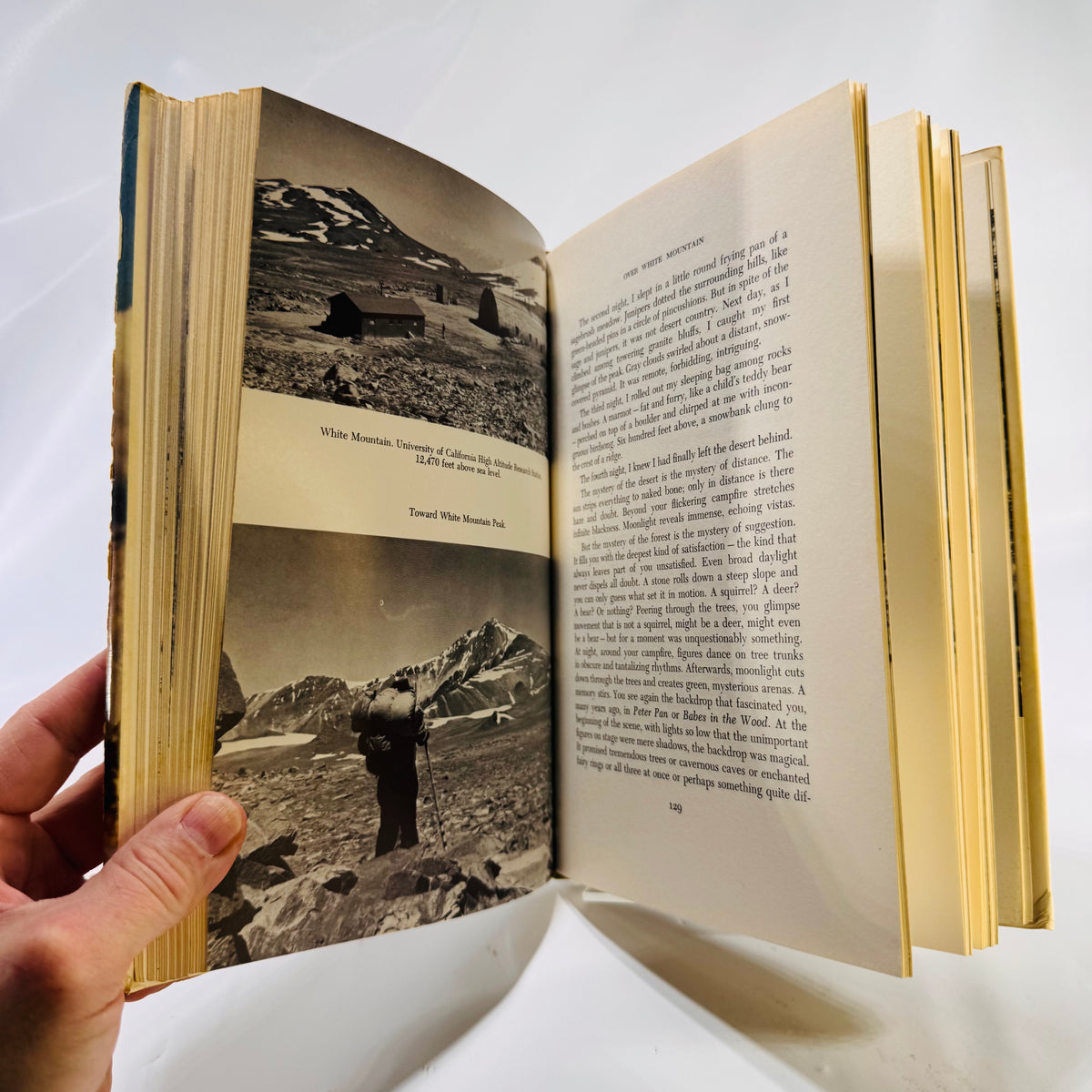 The Thousand-Mile Summer: In Desert and High Sierra by Colin Fletcher (1969) – A Trailblazing Tale of Solitude, Stride, and Sierra Sky