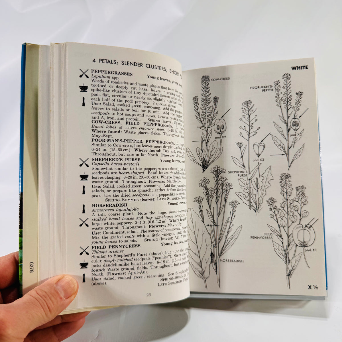 A Field Guide to Edible Wild Plants of Eastern and Central North America by Lee Allen Peterson (Peterson Field Guides)
