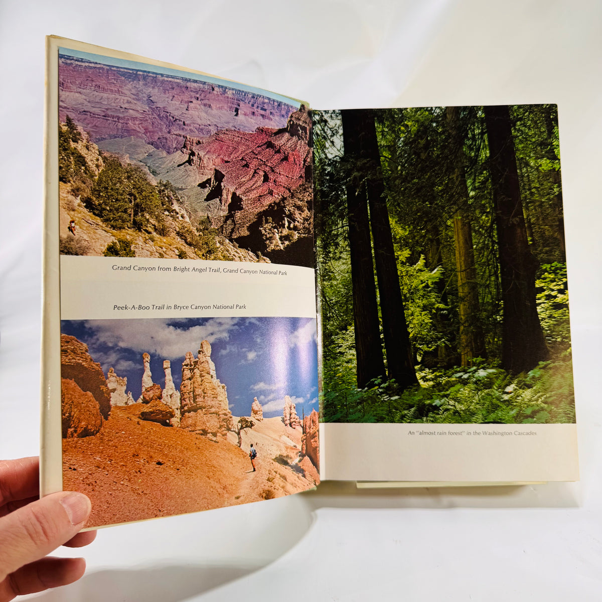 Backpacking One Step at a Time by Harvey Manning (1972) – A Vintage Outdoor Classic