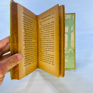 Mother West Wind Why Stories by Thornton  W. Burgess 1915 Grosset & Dunlap