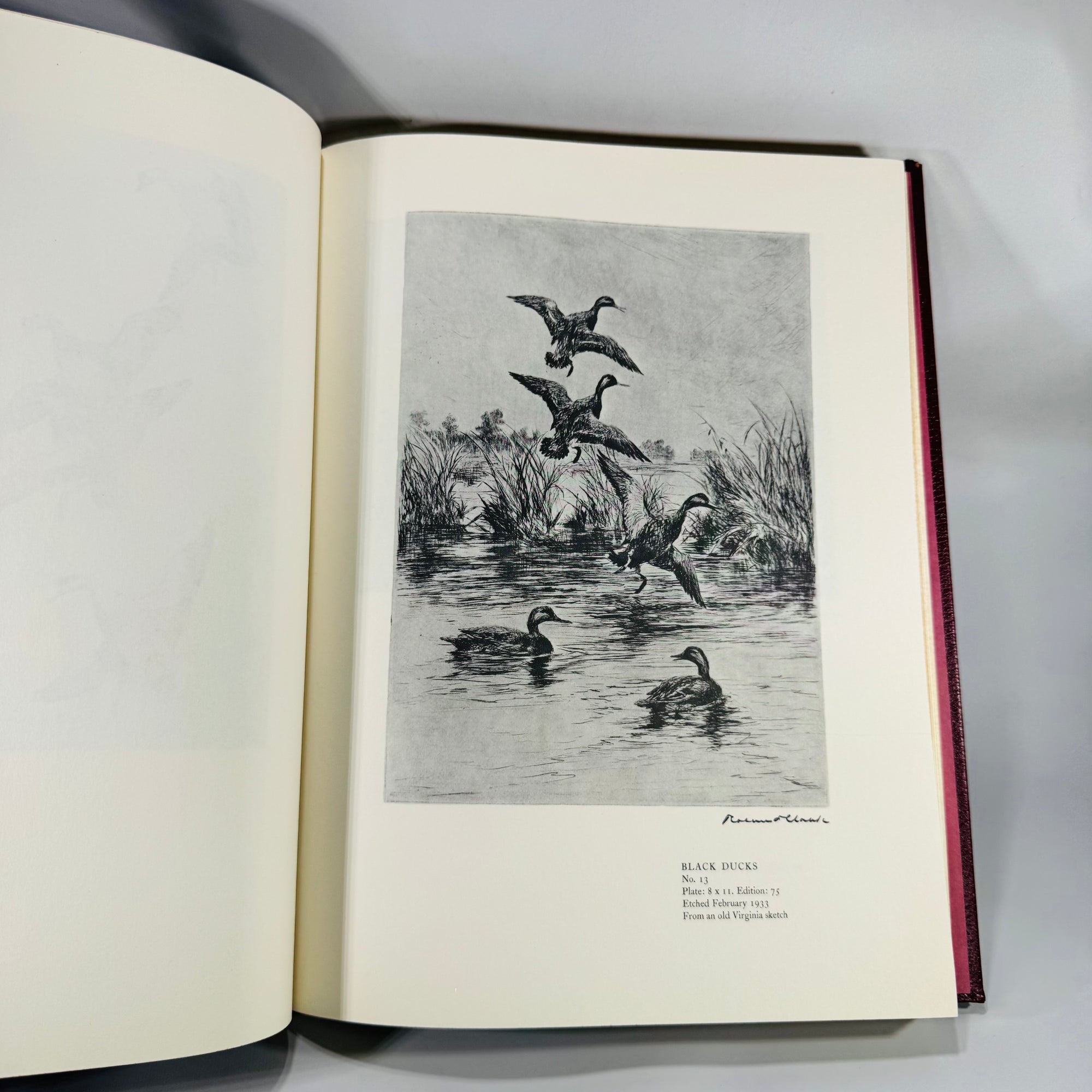 Roland Clark’s Etchings (1990 Limited Edition) — Derrydale Press | Sporting Art & Wildlife Etchings, Fine Press Portfolio