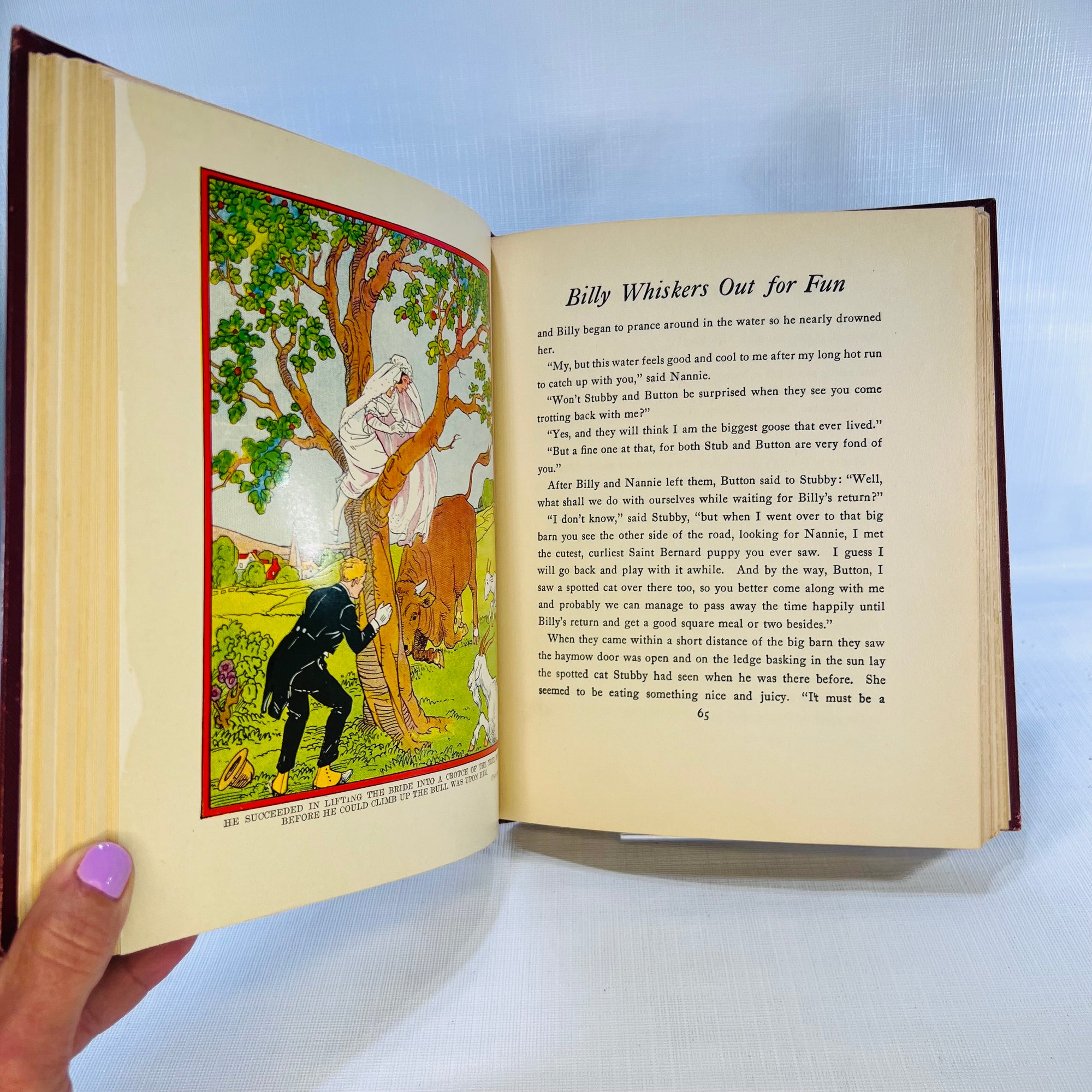 Billy Whiskers Out For Fun by Frances Trego Montgomery illustrated by Paul Hawthorne 1922 The Saalfield Publishing Company