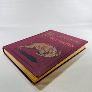 Billy Whiskers Out For Fun by Frances Trego Montgomery illustrated by Paul Hawthorne 1922 The Saalfield Publishing Company