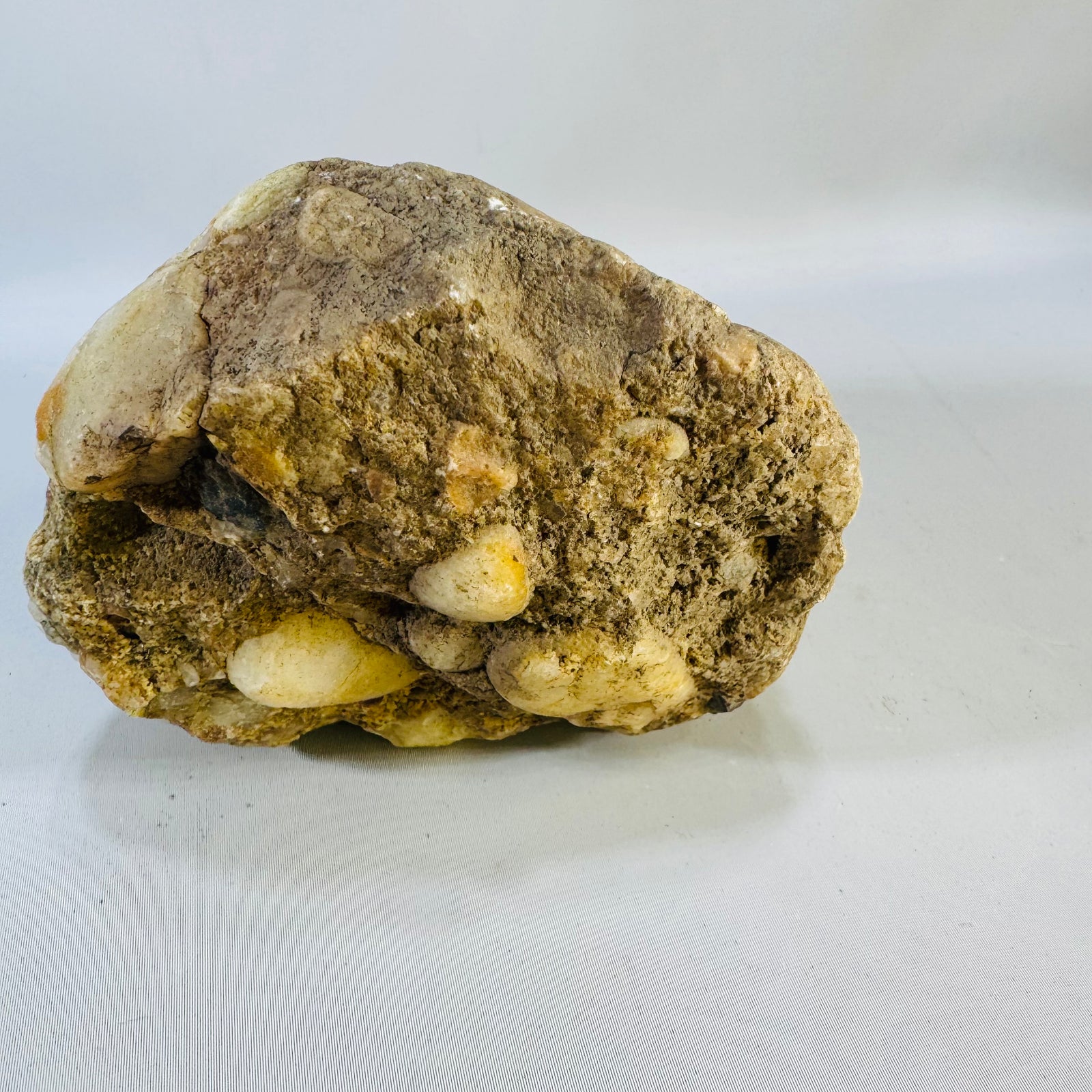 Michigan Puddingstone — Jasper & Quartz Conglomerate Specimen