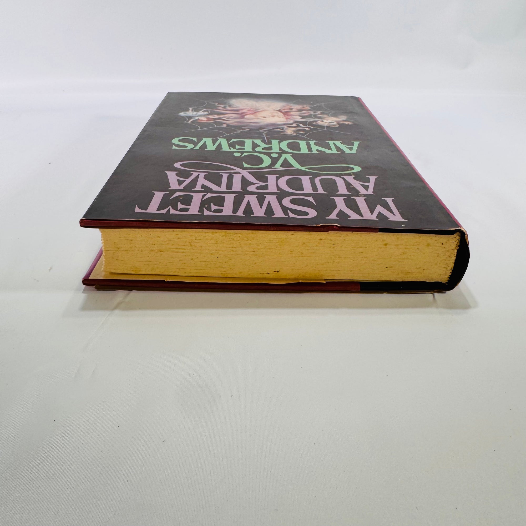 My Sweet Audrina by V.C. Andrews (1982) – A Twisted Gothic Tale of Memory, Control, and Dark Family Secrets
