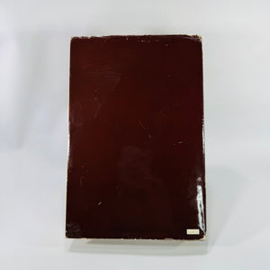 Vintage Horror & Sci-Fi Thriller — Stinger (1987 Book Club Edition) — Robert R. McCammon | Alien Invasion Novel, 1980s Horror Fiction