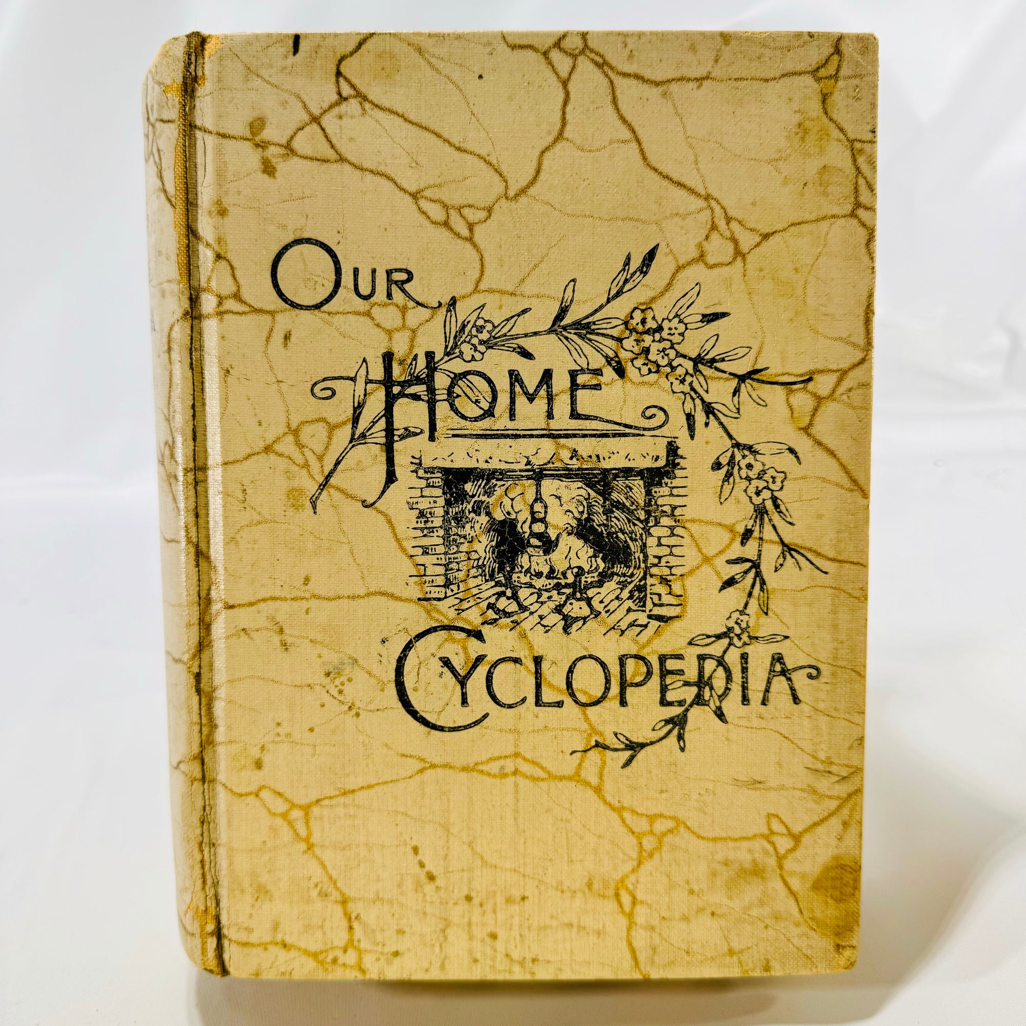 Our Home Cyclopedia Cookery and Housekeeping by Edgar S Darling 1889 The Mercantile Publishing Co, Detroit