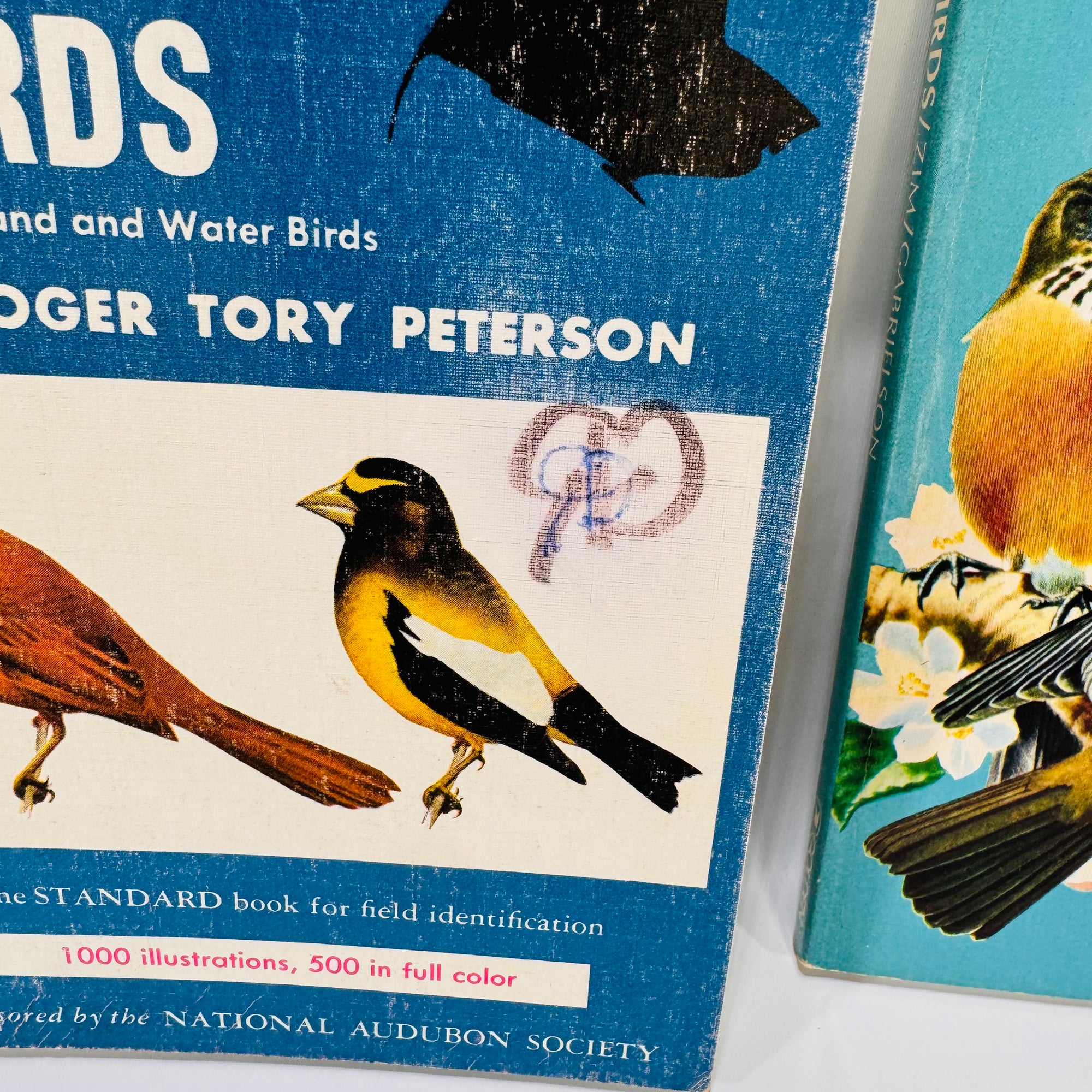 Two Paperback Birding Books: A Field Guide to the Birds by Roger Tory Peterson (1947) and A Golden Guide to Birds by Herbert S. Zim (1956) – Vintage Nature Guides