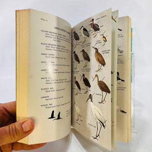 The Hawaii Book Story of Our Island Paradise 1961 published by J.G. Ferguson Bound in Handcrafted Mission Leather by Brown & Bigelow