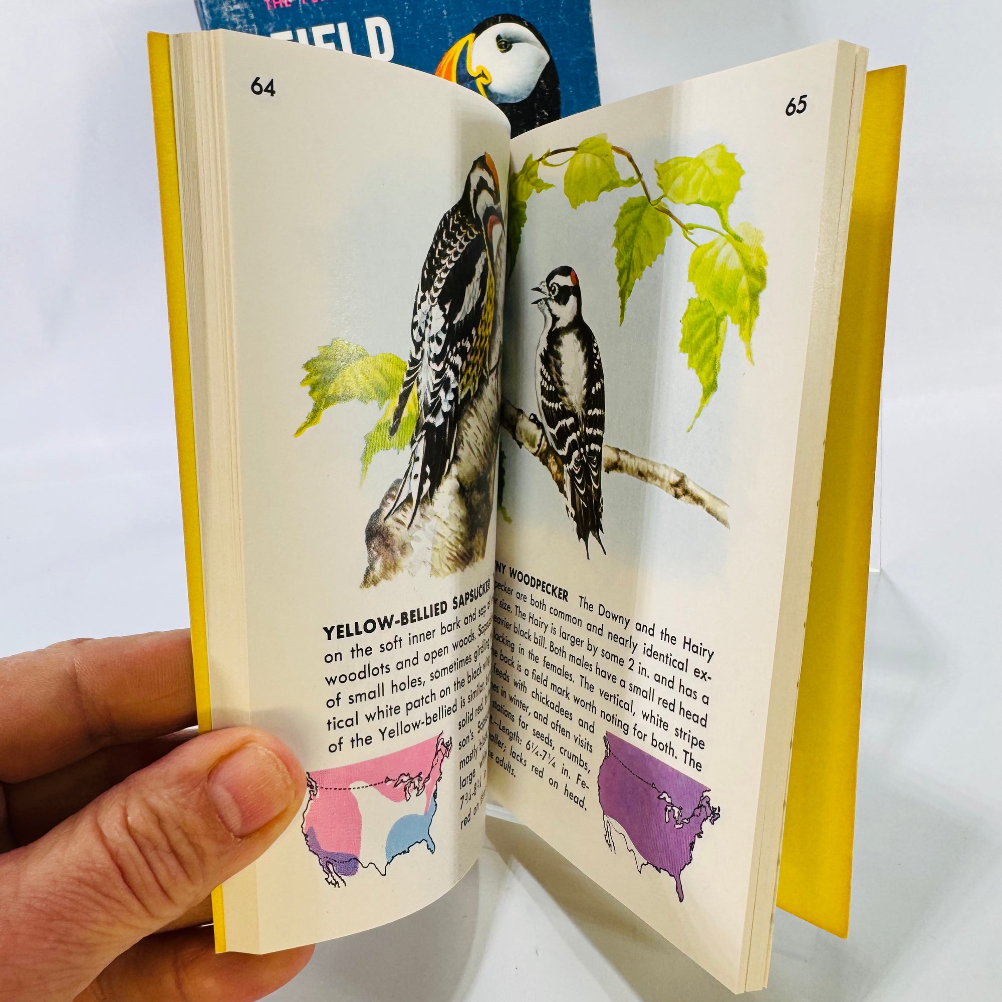 Two Paperback Birding Books: A Field Guide to the Birds by Roger Tory Peterson (1947) and A Golden Guide to Birds by Herbert S. Zim (1956) – Vintage Nature Guides