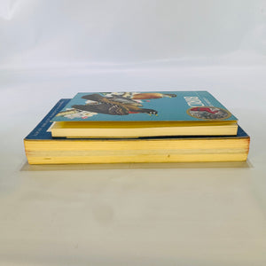 Two Paperback Birding Books: A Field Guide to the Birds by Roger Tory Peterson (1947) and A Golden Guide to Birds by Herbert S. Zim (1956) – Vintage Nature Guides