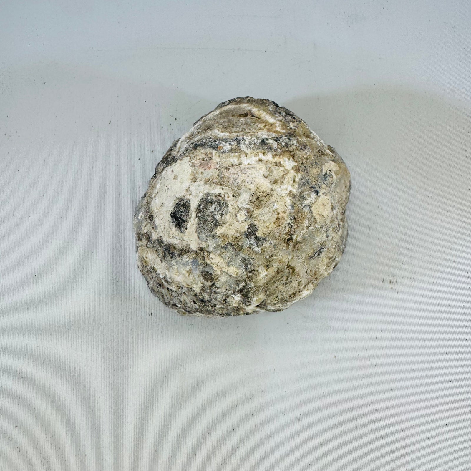 Polished Agate Nodule with Blue Gray Banding, Natural Rough Exterior, Cut Face Display Specimen