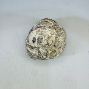Polished Agate Nodule with Blue Gray Banding, Natural Rough Exterior, Cut Face Display Specimen