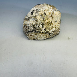 Polished Agate Nodule with Blue Gray Banding, Natural Rough Exterior, Cut Face Display Specimen