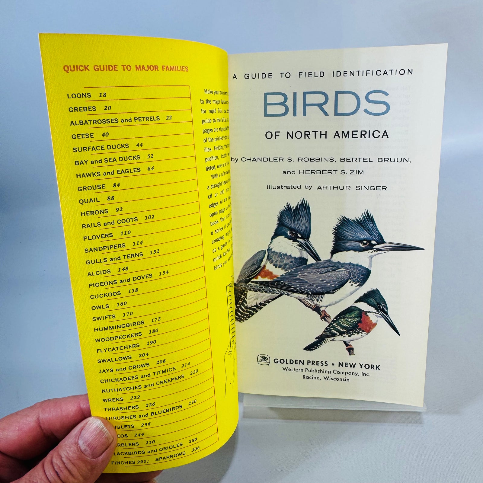 Birds of North America (1966) — Robbins, Bruun & Zim; Illus. Arthur Singer | Golden Press Paperback, Ornithology Field Guide • Natural History